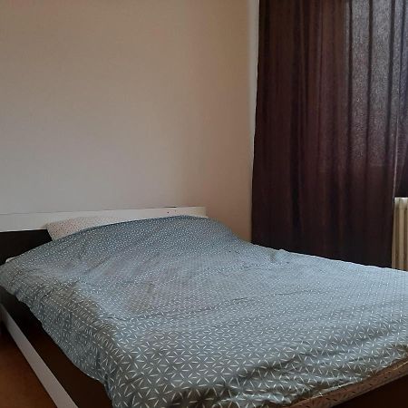 Ultracentral Apartment Bulevard Regele Mihai Nr 10, Sc A Ap 16 Timisoara Exterior photo